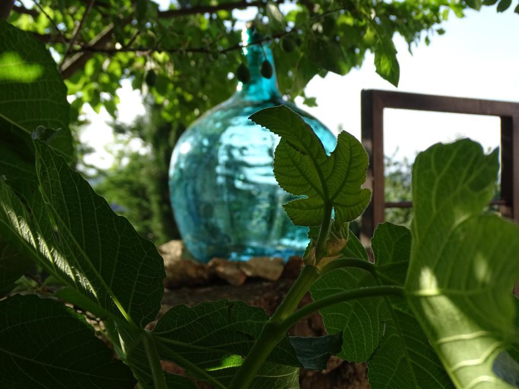 Hotel Cardamomo Sigueenza Carabias  ภายนอก รูปภาพ
