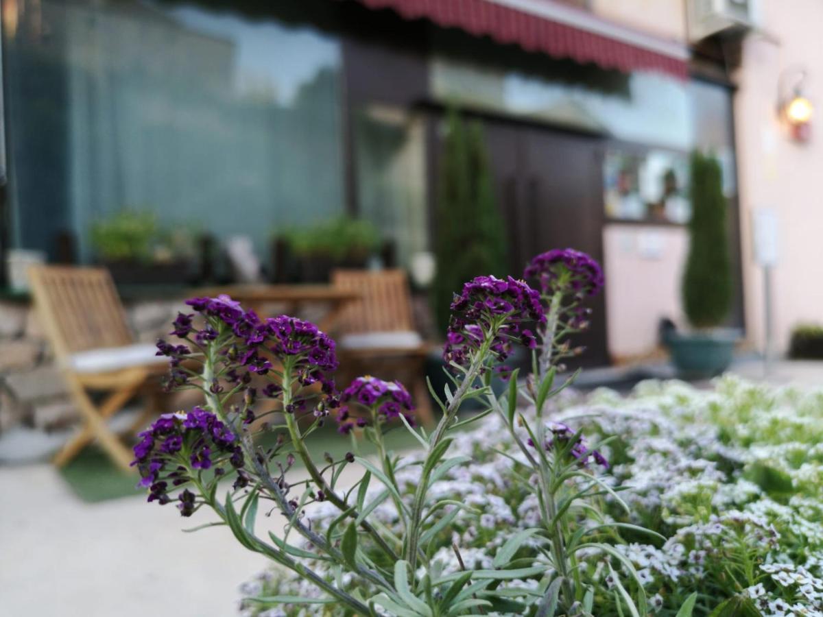 Hotel Cardamomo Sigueenza Carabias  ภายนอก รูปภาพ